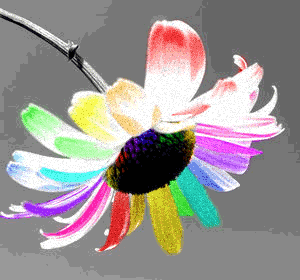 çiçek gifleri animation resmi